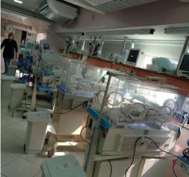 Visita ao Neo Unidas Terapia Intensiva Neonatal